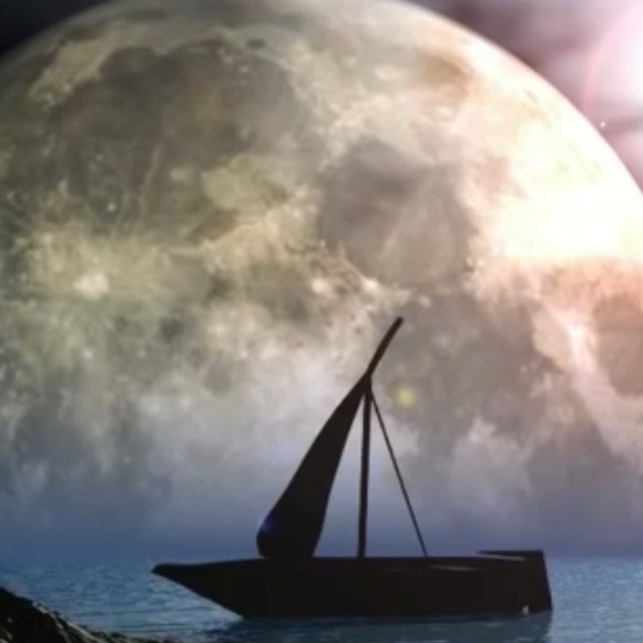 Meet your Posher, Paul - Picture 2 of 14